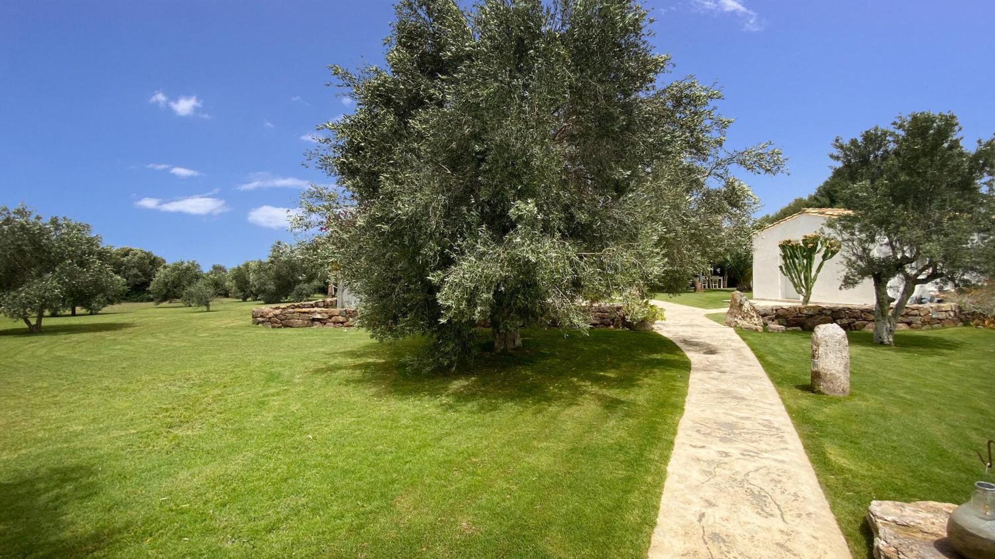 Vila Oasi Blu Calasetta Exteriér fotografie